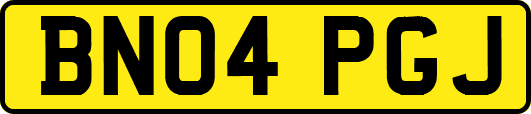 BN04PGJ