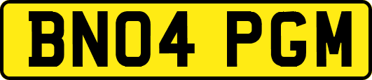 BN04PGM