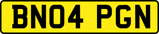 BN04PGN