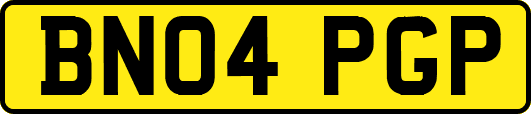 BN04PGP