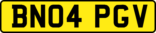 BN04PGV