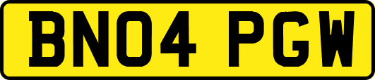 BN04PGW