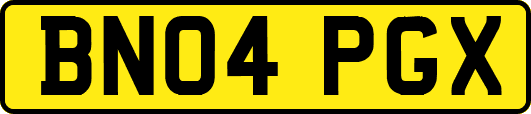 BN04PGX
