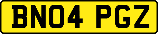 BN04PGZ