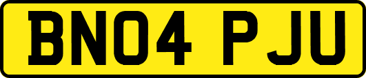 BN04PJU