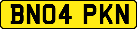 BN04PKN