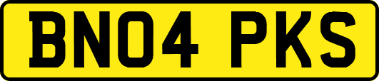 BN04PKS