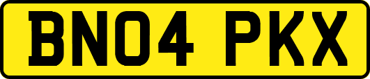 BN04PKX