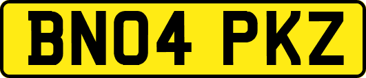 BN04PKZ