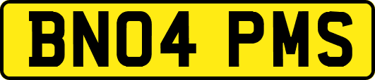 BN04PMS