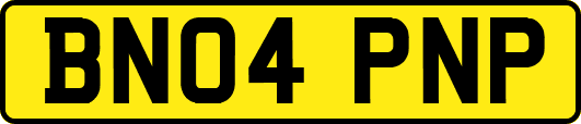 BN04PNP