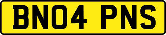 BN04PNS