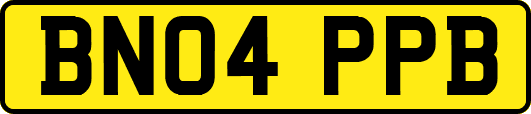 BN04PPB