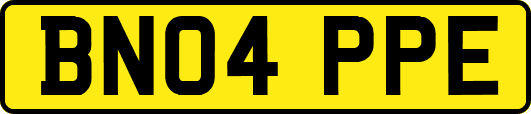 BN04PPE