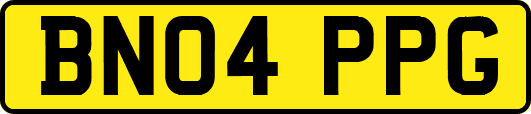 BN04PPG
