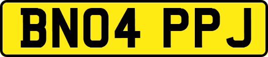 BN04PPJ