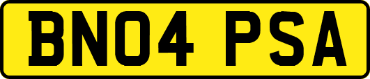 BN04PSA