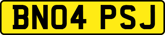BN04PSJ
