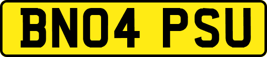 BN04PSU