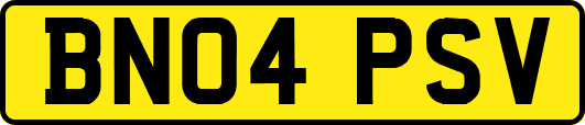 BN04PSV