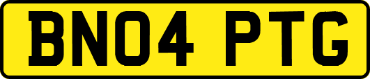 BN04PTG