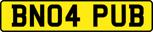 BN04PUB