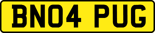 BN04PUG