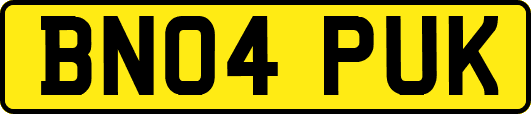 BN04PUK