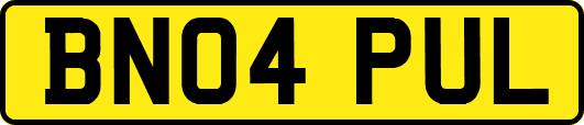 BN04PUL