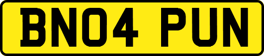 BN04PUN