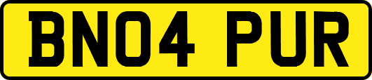 BN04PUR