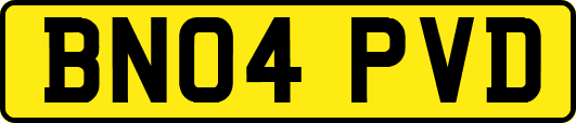BN04PVD