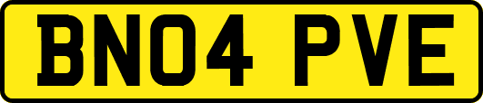 BN04PVE