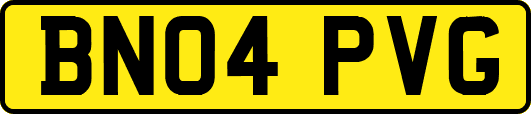 BN04PVG