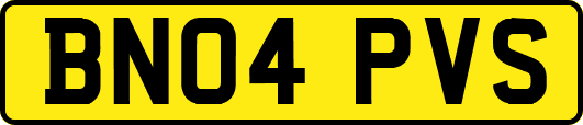 BN04PVS