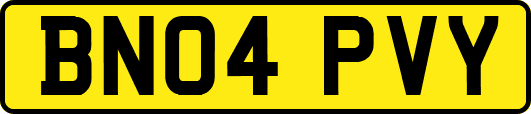 BN04PVY