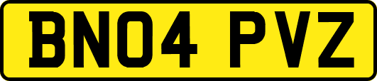 BN04PVZ