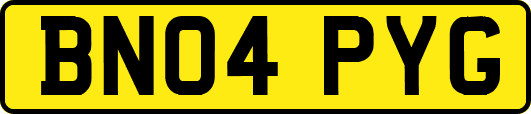 BN04PYG