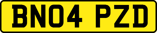 BN04PZD