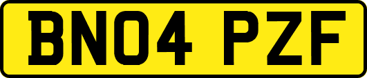 BN04PZF