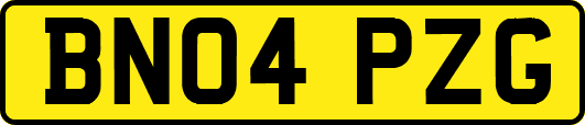 BN04PZG