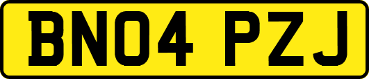 BN04PZJ