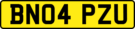 BN04PZU