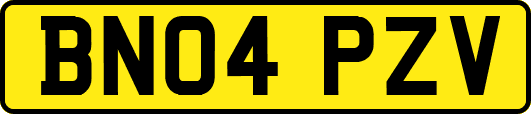 BN04PZV