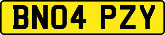 BN04PZY