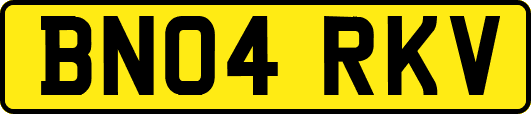 BN04RKV