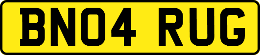 BN04RUG