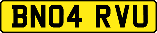 BN04RVU