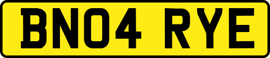 BN04RYE