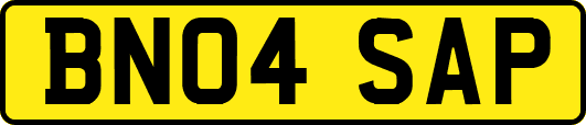 BN04SAP